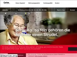 Sites similar to caritas-rundumbetreut.at