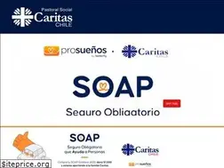 Sites similar to caritaschile.org