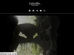 Sites similar to carlespiles.com
