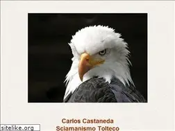 Sites similar to carloscastaneda.it