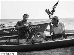 Sites similar to carlosdiazfotos.com