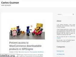 Sites similar to carlosguzman.dev