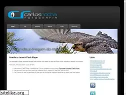 Sites similar to carlosrocha.eu