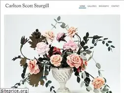 Sites similar to carltonscottsturgill.com