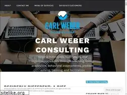 Sites similar to carlweberconsulting.com