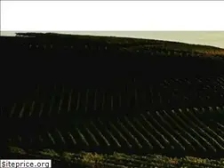 Sites similar to carmacoaching.de