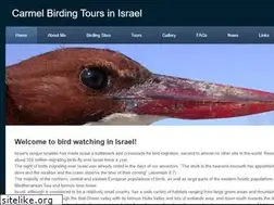 Sites similar to carmelbirdingtours.com
