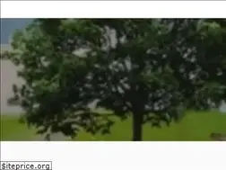 Sites similar to carmitalon.co.il