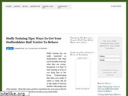 Sites similar to carnegiemarketing.com