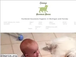Sites similar to carneyshaven.com