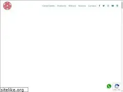 Sites similar to carolacastillo.com