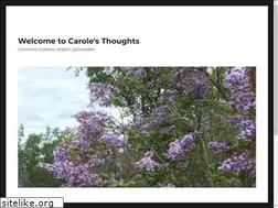 Sites similar to carolebeckham.com