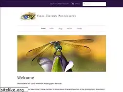 Sites similar to carolfreeman.com