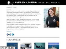 Sites similar to carolinaacastro.com