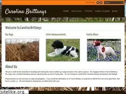 Sites similar to carolinabrittanys.com