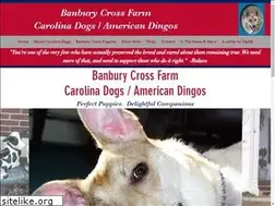 Sites similar to carolinadogs.org