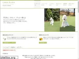 Sites similar to caroll.jp