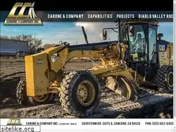 Sites similar to caroneandcompany.com