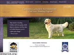 Sites similar to carovagoldenretrievers.com