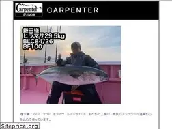 Sites similar to carpenter.ne.jp