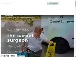 Sites similar to carpetcleanerauckland.net.nz