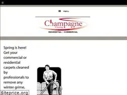 Sites similar to carpetcleaningbarrie.ca