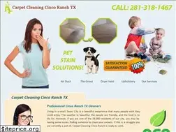 Sites similar to carpetcleaningcincoranchtx.com