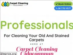 Sites similar to carpetcleaninggidgegannup.com.au