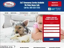 Sites similar to carpetdoctorrochester.com
