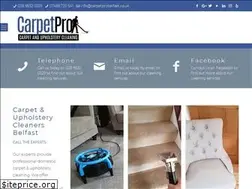 Sites similar to carpetprobelfast.co.uk