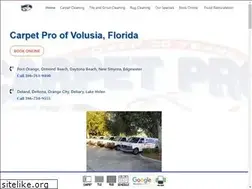 Sites similar to carpetproofvolusia.com