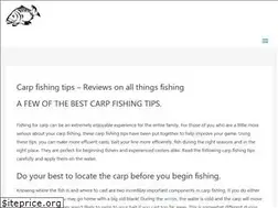 Sites similar to carpfishingtips.net