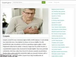 Sites similar to carpinti.gen.tr