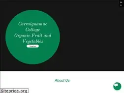 Sites similar to carraignamuccottage.ie