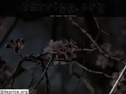 Sites similar to carrigg.org