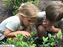 Sites similar to carrotpatchshoreline.com