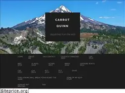 Sites similar to carrotquinn.com