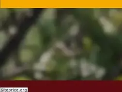 Sites similar to cars-up-eight.com