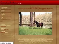 Sites similar to carsal.de