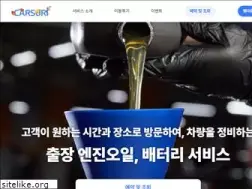 Sites similar to carsuri.co.kr