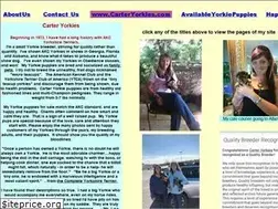 Sites similar to carteryorkies.com