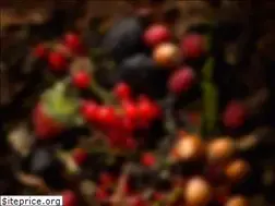 Sites similar to cartuxa.pt