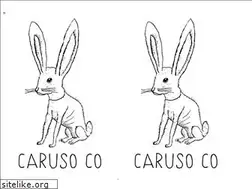 Sites similar to carusocompany.tv