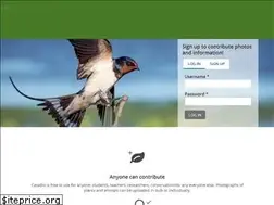 Sites similar to casabio.org