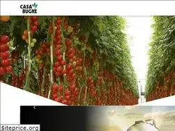 Sites similar to casabugre.com.br