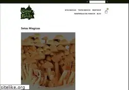 Sites similar to casadelabruja.es
