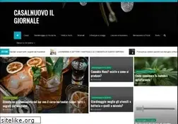 Sites similar to casalnuovoilgiornale.it