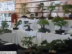 Sites similar to cascadebonsai.org