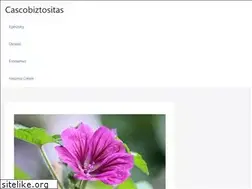 Sites similar to cascobiztositas.hu