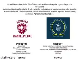 Sites similar to caseificiopiandelmedico.it